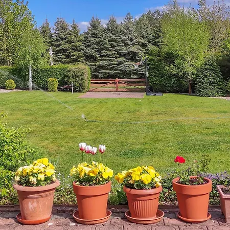 3 Bedroom Pet Friendly In * Wiselka